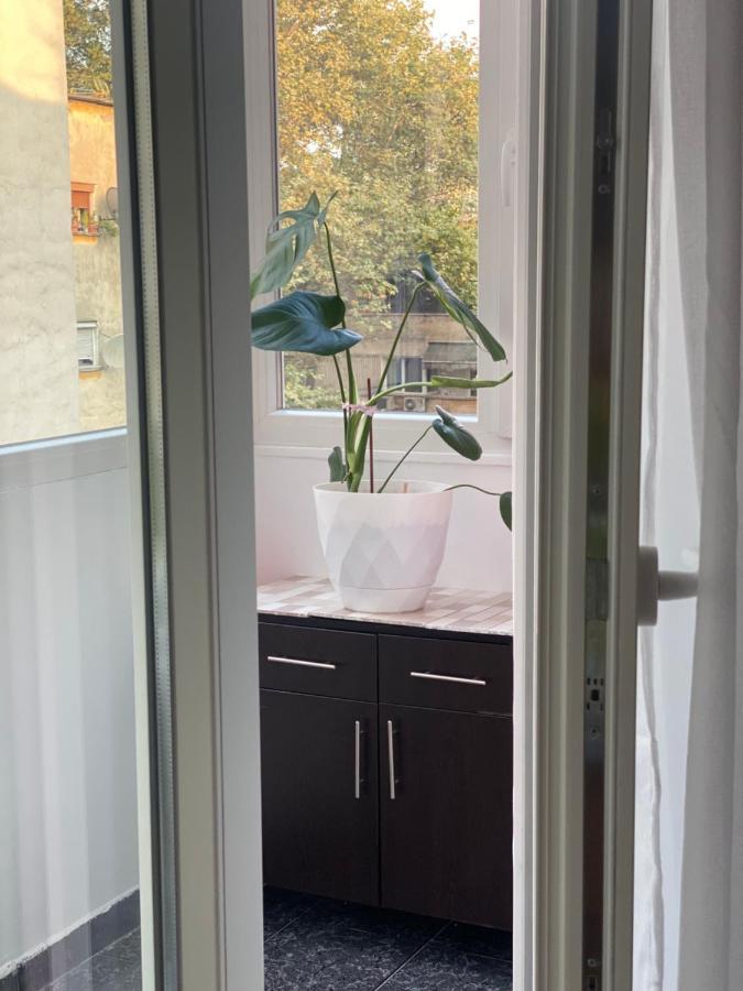 Central Welcoming Apartment In Тирана Экстерьер фото