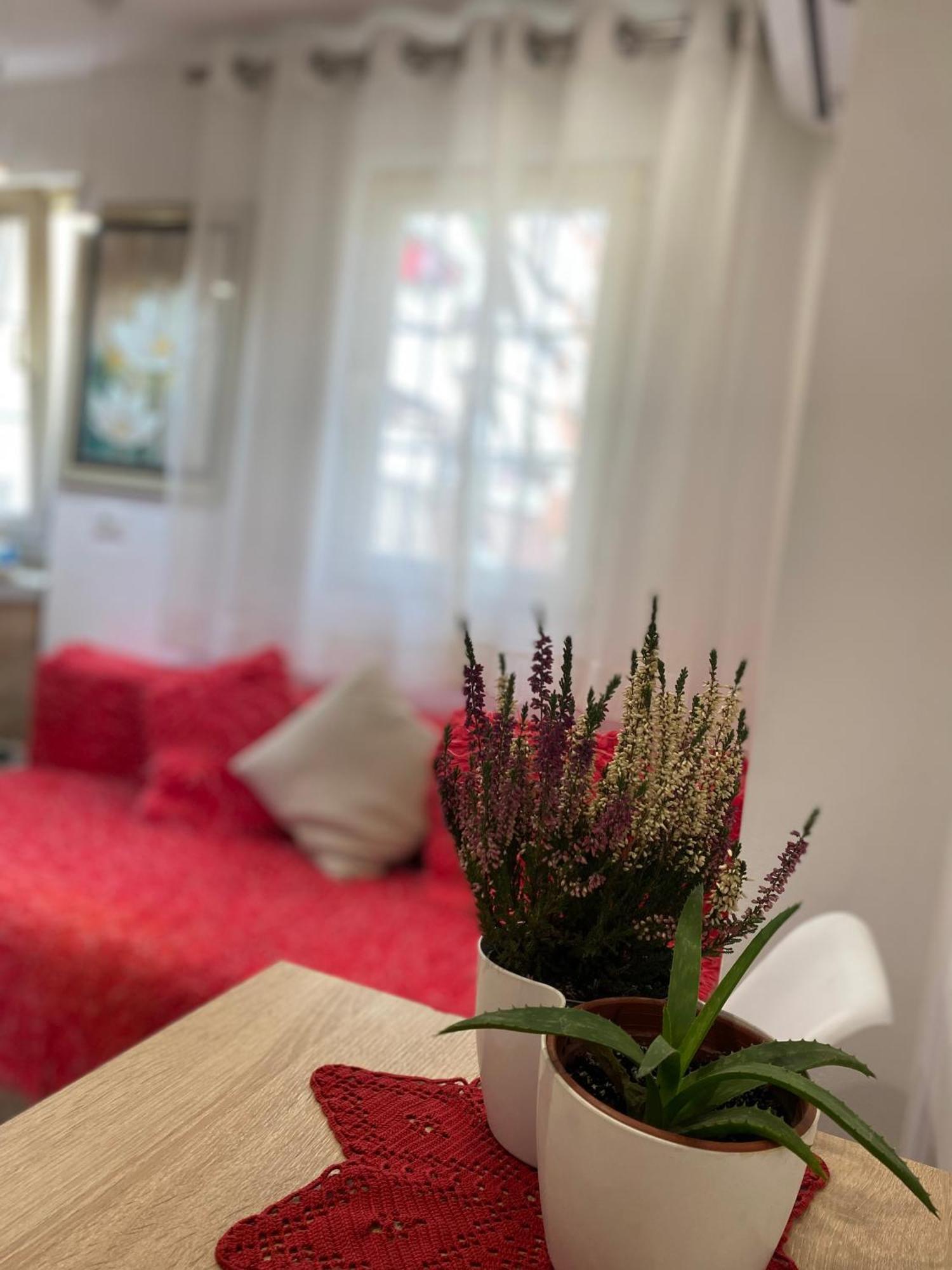 Central Welcoming Apartment In Тирана Экстерьер фото